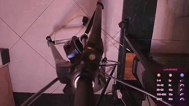 Terraelowen online show from November 2025 11:20:01 AM