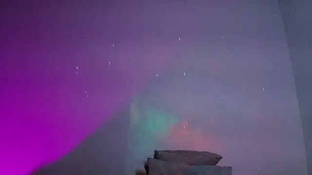 m rosee online show from March 2026 05:06:02 PM