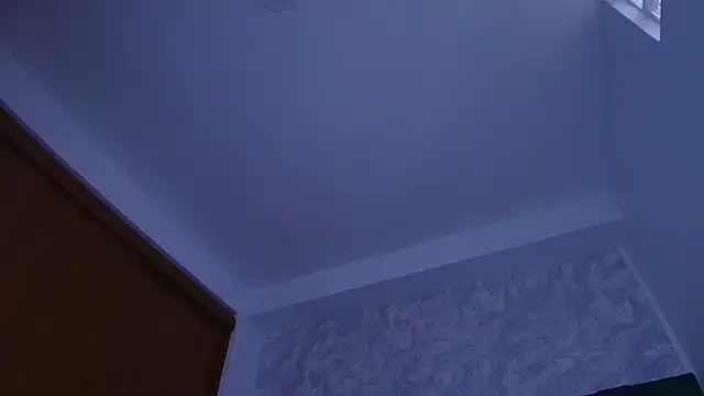 Snapshot of mishell- chatting on November 2025 07:21:01 PM mishell- online show from November 2025 07:21:01 PM