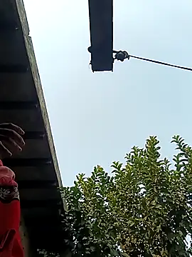 heena3355 online show from December 2025 03:56:01 AM