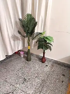 Snapshot of Shalu_G chatting on September 2025 05:40:02 PM Shalu G online show from September 2025 05:40:02 PM