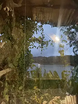 Just Isaa online show from January 2026 11:14:01 PM