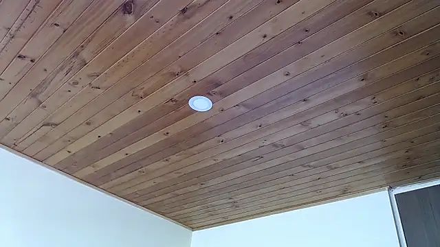 IVONNE COLLINS33 online show from September 2025 02:19:01 PM