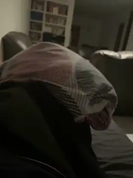 Snapshot of geilheit12 chatting on February 2026 10:04:01 PM geilheit12 online show from February 2026 10:04:01 PM