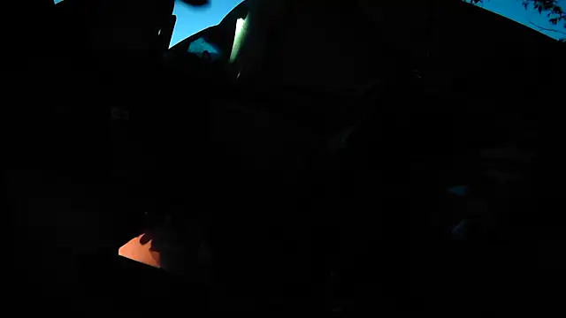 Snapshot of IsAparty chatting on November 2025 11:54:01 AM IsAparty online show from November 2025 11:54:01 AM