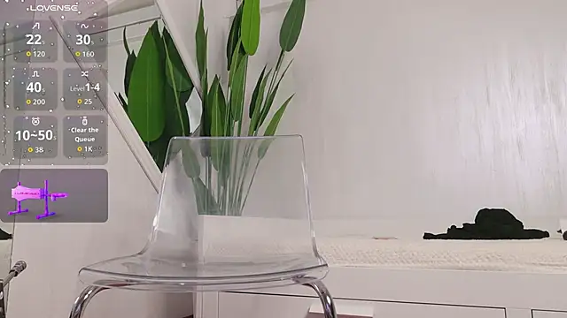 KaseyQuinn  online show from February 2026 08:34:01 PM