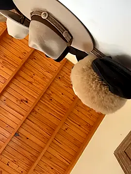 venuslibre online show from October 2025 11:21:02 AM