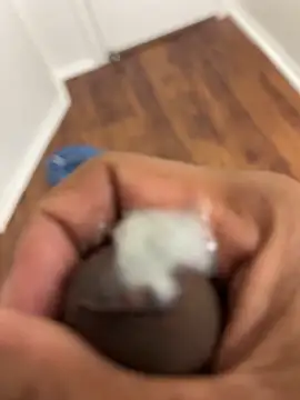 parkrow2404 online show from September 2025 09:33:02 AM