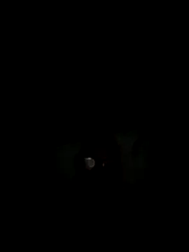 philefc online show from November 2025 07:42:02 AM