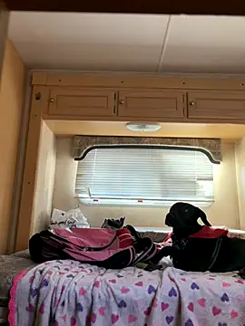 high3ndlowlife online show from November 2025 04:40:01 PM