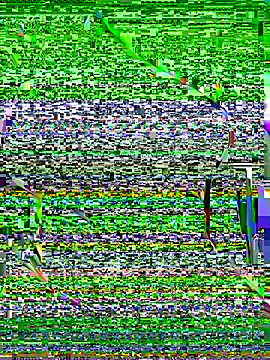 OrchidBae online show from October 2025 12:25:01 PM