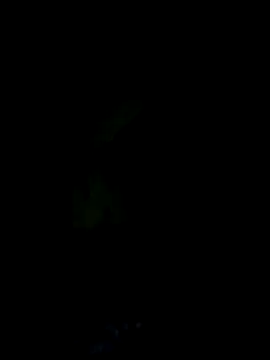 Ternura Prohibida online show from October 2025 03:42:01 AM