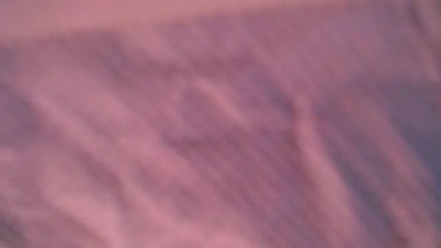 Snapshot of Liz_Hu chatting on October 2025 04:28:01 PM Liz Hu online show from October 2025 04:28:01 PM