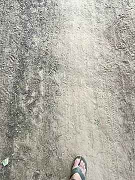 Desiandaj online show from November 2025 02:45:01 AM