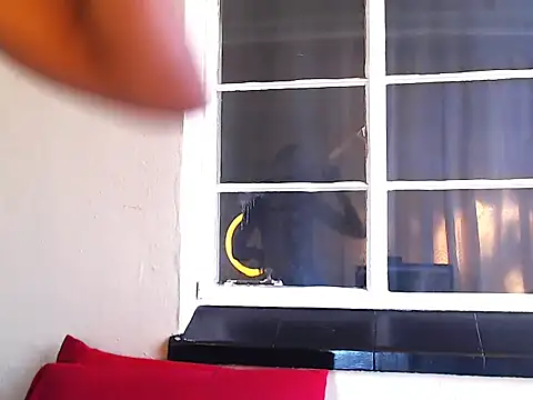 PetiteEbonyBabe online show from October 2025 07:28:02 AM