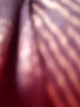 Snapshot of Tamilreethu chatting on October 2025 08:45:01 AM Tamilreethu online show from October 2025 08:45:01 AM