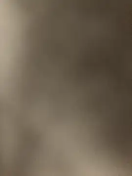 selftaught777 online show from December 2025 12:42:01 AM