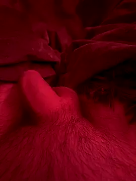 couplefuck   online show from December 2025 07:57:02 AM