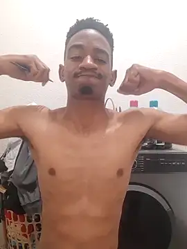 gemini loops online show from October 2025 07:37:02 PM