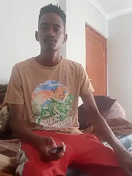 gemini loops online show from January 2026 08:07:01 AM