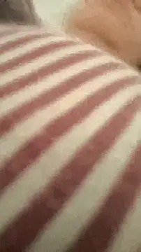 Snapshot of bibi_perigoBr chatting on September 2025 03:39:01 PM bibi perigoBr online show from September 2025 03:39:01 PM