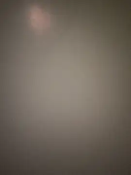 Ravina-737 online show from January 2026 03:36:02 PM