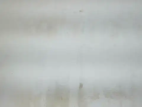 Cute mikii online show from December 2025 04:54:01 AM