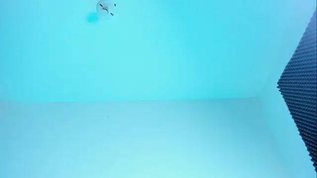 Im naho online show from October 2025 11:16:01 PM