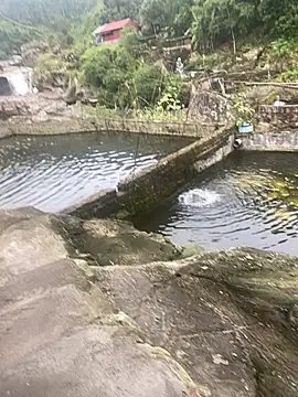 PhanHaa online show from November 2025 09:30:01 AM