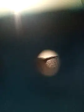 Sonya51561 online show from November 2025 02:51:01 PM