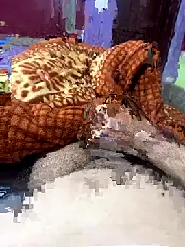 Rupkumarmaleforfun online show from December 2025 02:34:01 PM