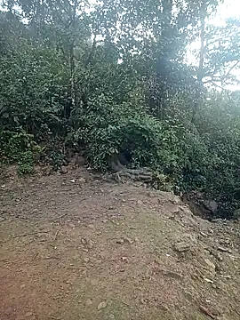 quynhkoolbae online show from February 2026 12:44:02 AM