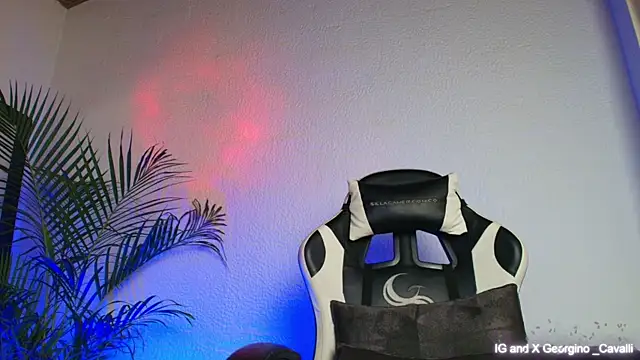 Snapshot of georgino_cavalli chatting on October 2025 04:43:01 AM georgino cavalli online show from October 2025 04:43:01 AM