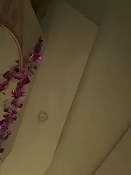 Snapshot of HaltBrand chatting on March 2026 09:11:02 AM HaltBrand online show from March 2026 09:11:02 AM