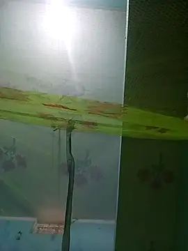 Apkisona8 online show from November 2025 05:28:02 AM