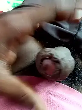 dolphiinn online show from November 2025 05:28:02 AM