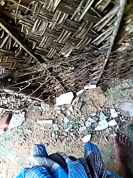 dolphiinn online show from November 2025 04:27:01 AM