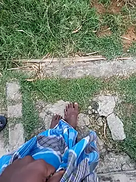 dolphiinn online show from January 2026 01:33:01 AM