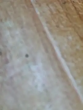 Markroco696 online show from October 2025 04:10:02 AM