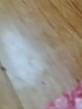 Markroco696 online show from October 2025 02:58:02 AM