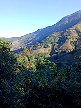 misa 00 online show from November 2025 01:08:02 AM