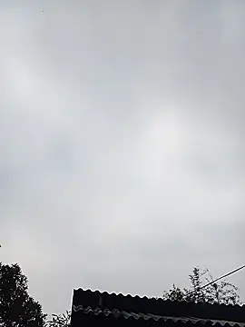 Ngocmi909 online show from January 2026 12:48:02 AM