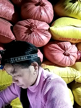 Sa2mh20 online show from February 2026 01:04:02 PM