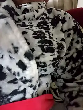 Mimi69dalo3a online show from December 2025 08:10:01 AM