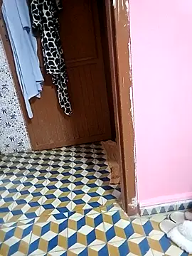 Snapshot of Mayamimi chatting on November 2025 09:31:02 AM Mayamimi online show from November 2025 09:31:02 AM