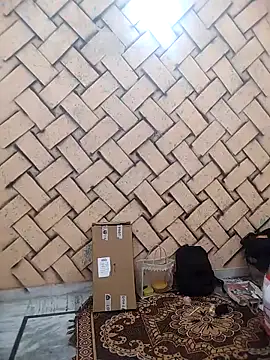 meenu bhabhi547 online show from February 2026 04:33:02 AM