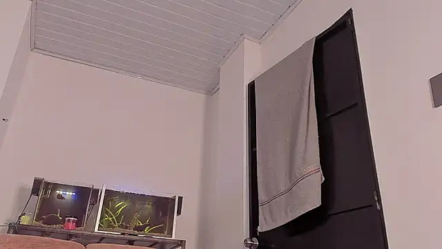 Cj davis  online show from December 2025 02:04:01 PM