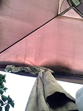 KloePink  online show from November 2025 12:16:02 PM