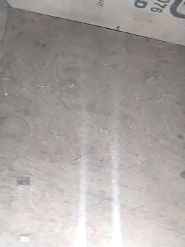 avi007p online show from February 2026 01:01:02 PM