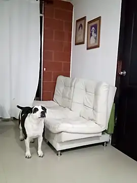 Isbettyche online show from February 2026 11:54:01 PM